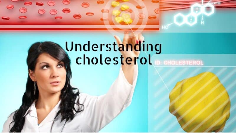 Understanding Cholesterol: A Complete Guide to Heart Health